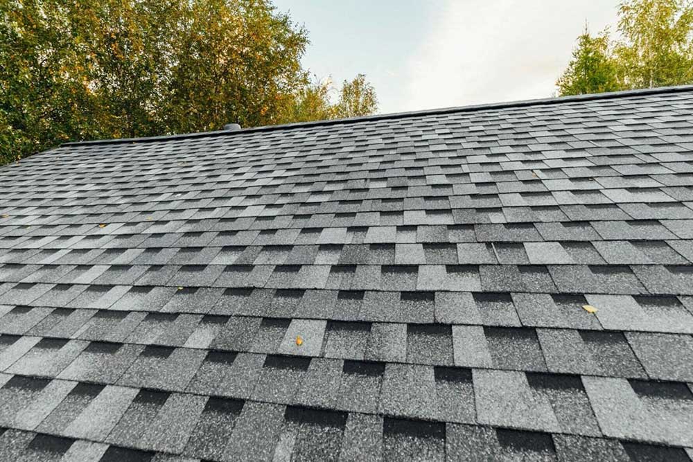 Close-up view of a gray asphalt shingle roof with uniform pattern under clear sky and surrounding trees.
