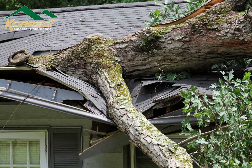 Large fallen tree damaging a roof, demonstrating when replacement is needed after storm impact in DFW.