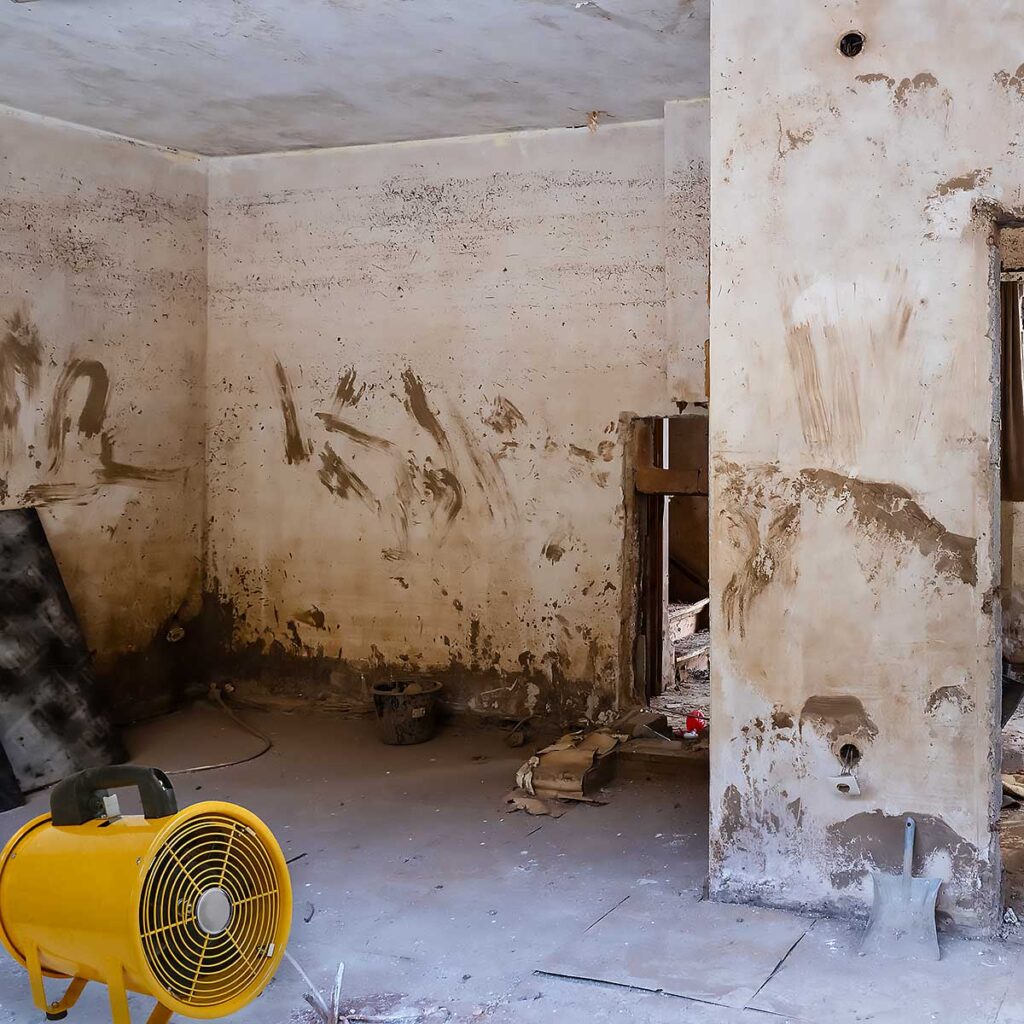 Fire and Water Damage Restoration in Arlington, TX | Expert Restoration Services